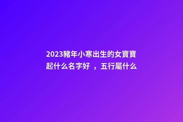 2023豬年小寒出生的女寶寶起什么名字好，五行屬什么